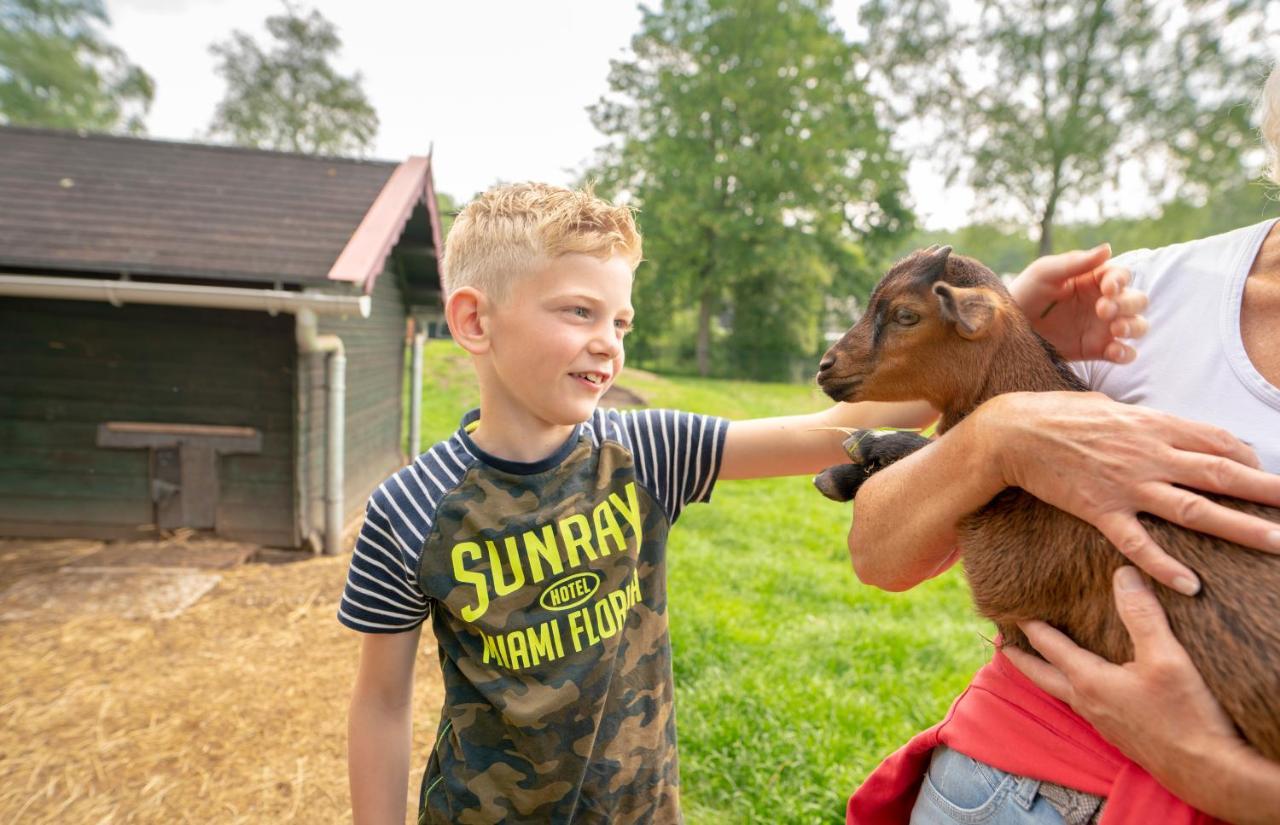 Hotel Vakantiepark Bosmeer Friesland Noordwolde  Zewnętrze zdjęcie